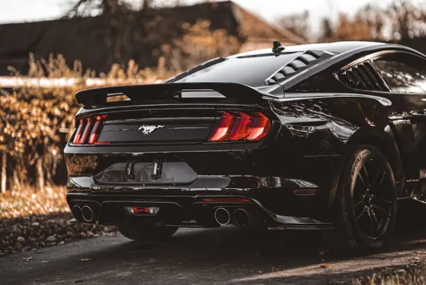 PlaySunny Casino Android/iOS rakendus